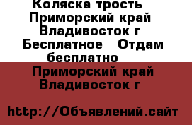 Коляска-трость - Приморский край, Владивосток г. Бесплатное » Отдам бесплатно   . Приморский край,Владивосток г.